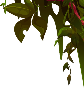 liana decorativa derehta