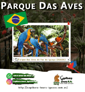 Parque Das Aves